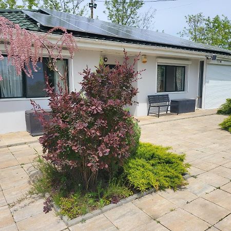 Casa Elis Piscina, Jacuzzy , Sauna, Ciubar Merei Екстер'єр фото