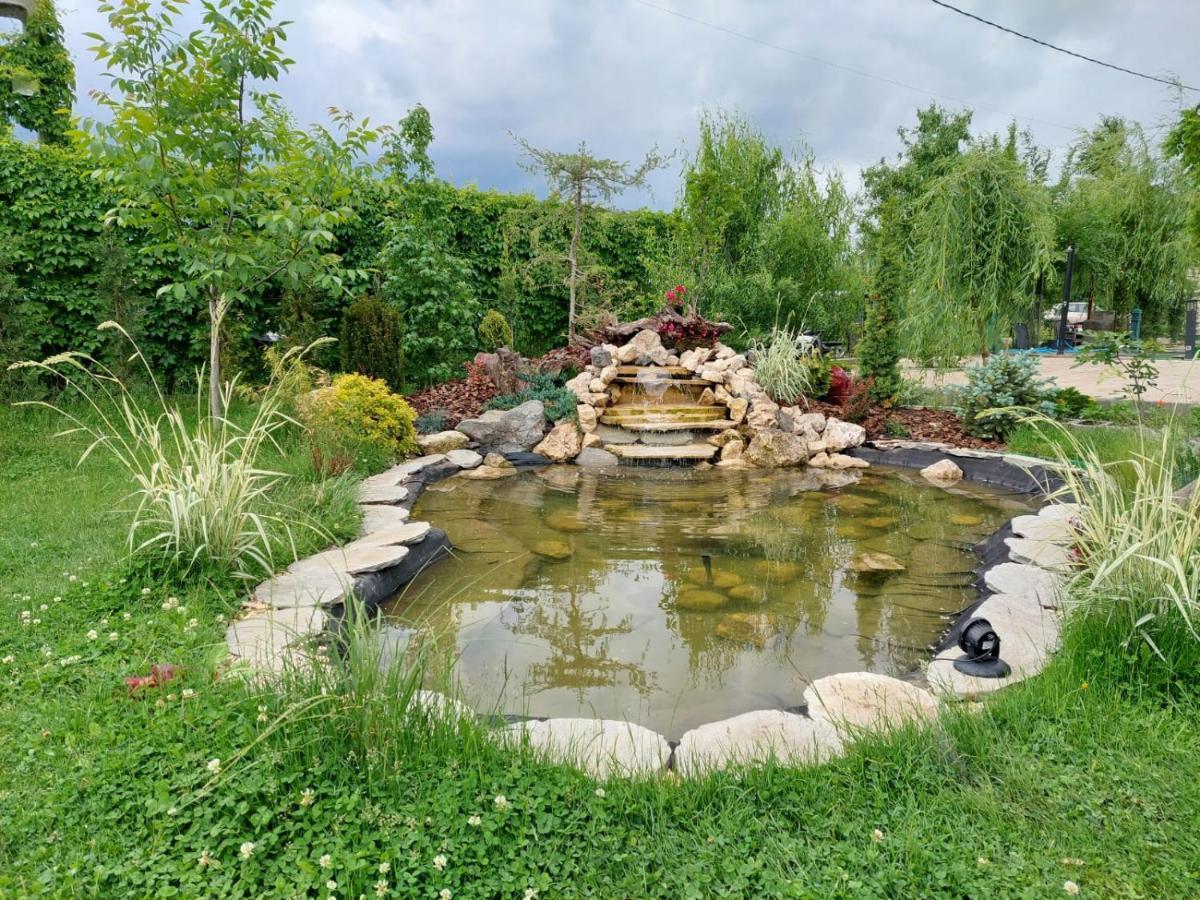 Casa Elis Piscina, Jacuzzy , Sauna, Ciubar Merei Екстер'єр фото