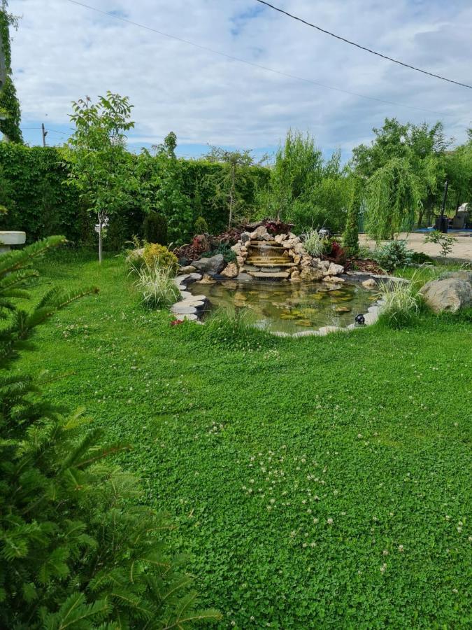 Casa Elis Piscina, Jacuzzy , Sauna, Ciubar Merei Екстер'єр фото