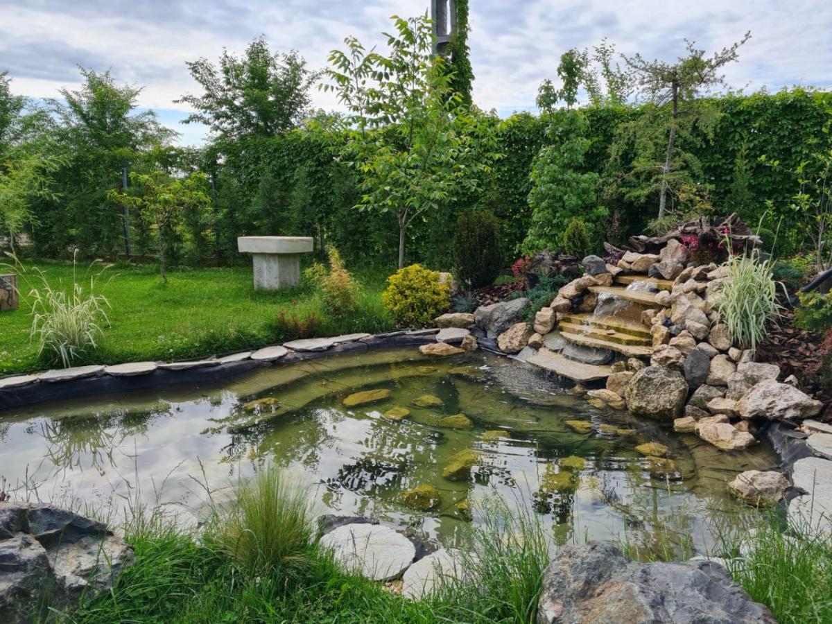 Casa Elis Piscina, Jacuzzy , Sauna, Ciubar Merei Екстер'єр фото