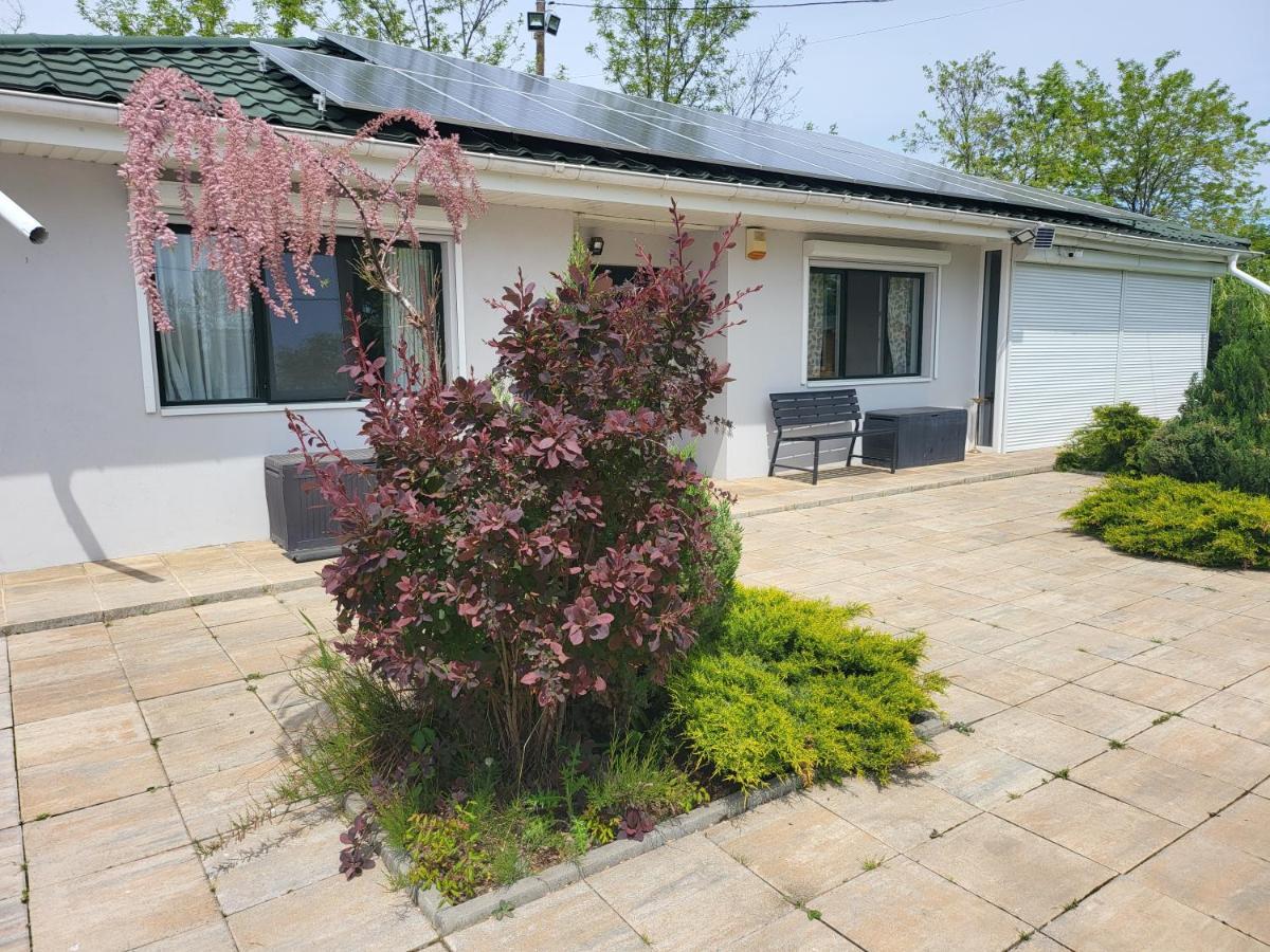 Casa Elis Piscina, Jacuzzy , Sauna, Ciubar Merei Екстер'єр фото