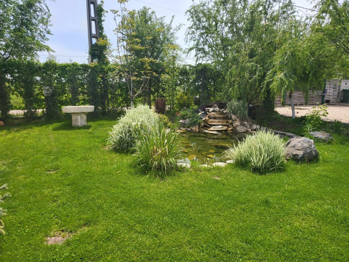 Casa Elis Piscina, Jacuzzy , Sauna, Ciubar Merei Екстер'єр фото